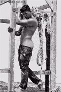 Foto Annunci Vip Boy Berlino Adriano Colt 0034624815664 - 11