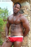 Foto Annunci Vip Boy Milano Andreas 3281706568 - 1