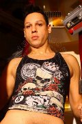 Foto Annunci Vip Boy San Paolo Alejandro El Toro 005511949066337 - 4