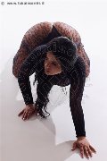 Foto Annunci Vip Escort Avellino Erika 3385964983 - 17