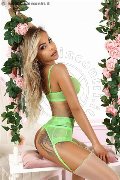 Foto Annunci Vip Escort Siena Melissa G  3533823670 - 3