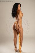 Foto Annunci Vip Escort Treviso Perla 3921586689 - 9