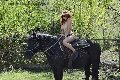 Foto Annunci Vip Girl Chiavari Karyna 3342341880 - 34