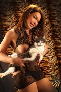 Foto Annunci Vip Girl Verbania Alessa Venezuelana 3533541305 - 36