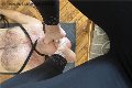 Foto Annunci Vip Mistress Cuneo Julia 3762329100 - 13