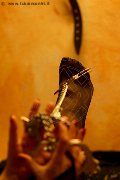 Foto Annunci Vip Mistress Marina Di Carrara Lady De Sade Italy 3392160761 - 6