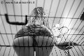 Foto Annunci Vip Mistress Verona Lady Giuliette 3486833721 - 16