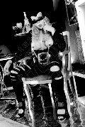 Foto Annunci Vip Mistresstrans Legnano Lady Ale Cavallona 3508935739 - 1