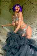 Foto Annunci Vip Trans Bergamo Erotika Flavy Star 3387927954 - 58