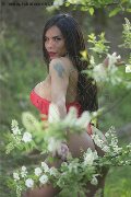 Foto Annunci Vip Trans Cinisello Balsamo Angell 3339242519 - 4