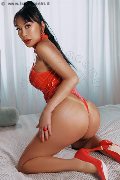 Foto Annunci Vip Trans Faenza Vanessa Midori 3475451376 - 7