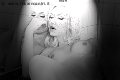 Foto Annunci Vip Trans Francoforte Mary Ts 00491751281117 - 7