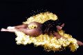 Foto Annunci Vip Trans Genova Naomi Angel 3491282938 - 125