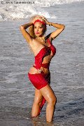 Foto Annunci Vip Trans Milano Amber 3474004169 - 11