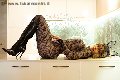 Foto Annunci Vip Trans Milano Fernanda Ambrosio 3277803350 - 17