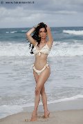 Foto Annunci Vip Trans Modena Vanessa Hilton 3245846577 - 103