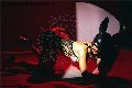 Foto Annunci Vip Trans Modena Vanessa Hilton 3245846577 - 132