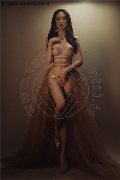Foto Annunci Vip Trans Modena Vanessa Hilton 3245846577 - 41