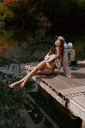 Foto Annunci Vip Trans Modena Vanessa Hilton 3245846577 - 59