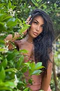Foto Annunci Vip Trans Parma Mandy Asiatica 3270531479 - 5