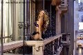Foto Annunci Vip Trans San Gallo Rayca 3485638746 - 256