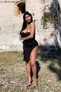 Foto Annunci Vip Trans Taranto Delizia Malizia 3511575349 - 3