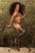 Foto Annunci Vip Trans Verona Tamisca Safada 3270654407 - 79