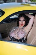 Foto Annunci Vip Transescort Amsterdam Kim Tifany 3447063881 - 1