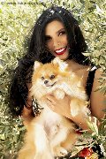 Foto Annunci Vip Transescort Bologna Ariadna 3887519396 - 76