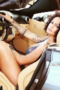 Foto Annunci Vip Transescort Bologna Serena 3271309016 - 18