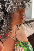 Foto Annunci Vip Transescort Bologna Serena 3271309016 - 10