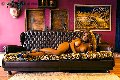 Foto Annunci Vip Transescort Brescia Jessica Aryani 3932507943 - 18
