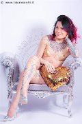 Foto Annunci Vip Transescort Jj La Numero Uno 3514555713 - 101