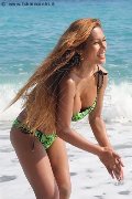 Foto Annunci Vip Transescort Liisa Asiatica Ladyboy 3489026722 - 311