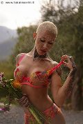 Foto Annunci Vip Transescort Milano Ath�na 3270729765 - 1