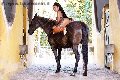 Foto Annunci Vip Transescort Milano Gabriella Xxl Brasile 3292213799 - 70