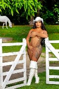 Foto Annunci Vip Transescort Milano Gabriella Xxl Brasile 3292213799 - 15