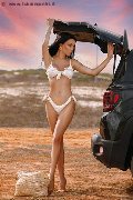 Foto Annunci Vip Transescort Modena Vanessa Hilton 3245846577 - 112