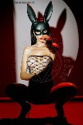 Foto Annunci Vip Transescort Modena Vanessa Hilton 3245846577 - 128