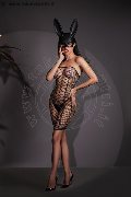 Foto Annunci Vip Transescort Modena Vanessa Hilton 3245846577 - 126