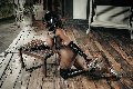 Foto Annunci Vip Transescort Padova Campbell 3933357541 - 150