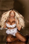 Foto Annunci Vip Transescort Padova Campbell 3933357541 - 93