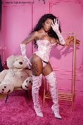 Foto Annunci Vip Transescort Padova Campbell 3933357541 - 18