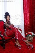 Foto Annunci Vip Transescort Padova Campbell 3933357541 - 44
