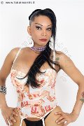 Foto Annunci Vip Transescort Parigi Belle Marcia Paris 0033627331997 - 193