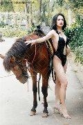 Foto Annunci Vip Transescort Pordenone Biancaladyboy 3932233064 - 6