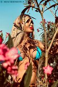 Foto Annunci Vip Transescort Roma Chrystal Medeiros Pornostar 3898313619 - 35