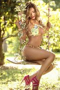 Foto Annunci Vip Transescort San Gallo Rayca 3485638746 - 265