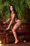 Foto Annunci Vip Transescort Torino Sophie Vergara 3516700925 - 12