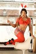 Foto Annunci Vip Trav Milano Kate 3519323214 - 35